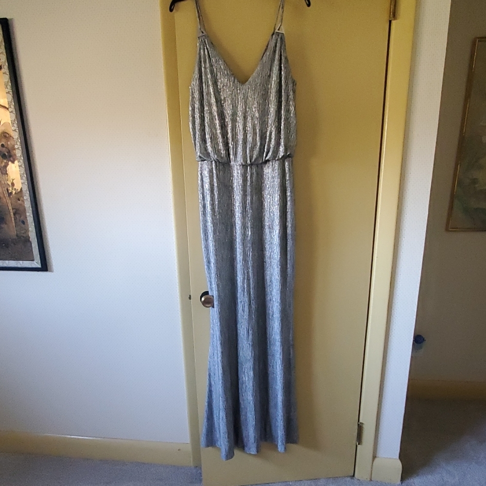 Calvin Klein gown